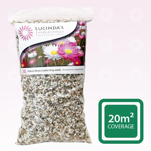 Seed Pack - Pink and White Everlastings 20g