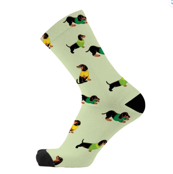 Socks - Dashy