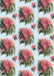 Wrapping Paper - Summer Gumflowers