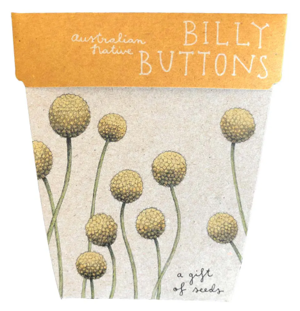 Seed Pack - Billy Buttons