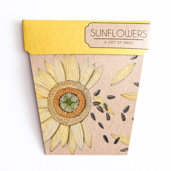 Seed Pack - Sunflower