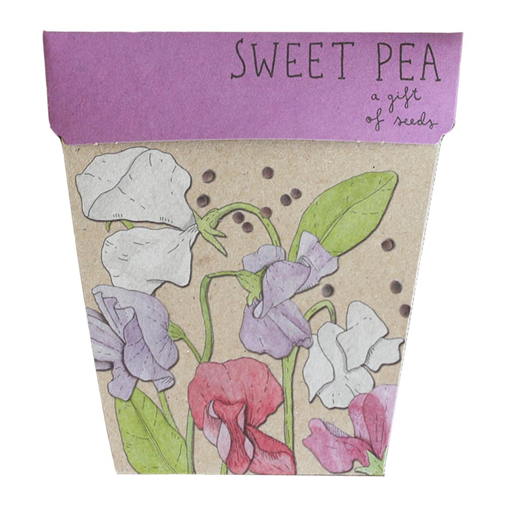 Seed Pack - Sweet Pea