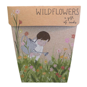 Seed Pack - Wild Flowers